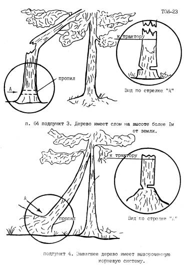 договор на валку деревьев образец